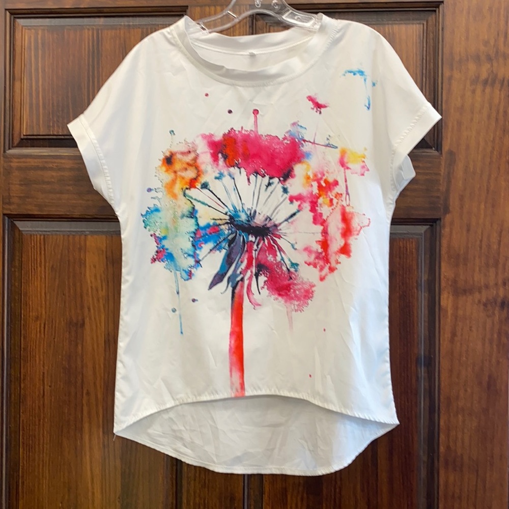 Colorful dandelion top